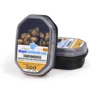 15 GRAMS – TAMPANENSIS – MAGIC TRUFFLES