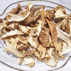 Buy Medicinal Magic Mushrooms Online In USA