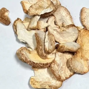 Dried Lion’s Mane Mushrooms