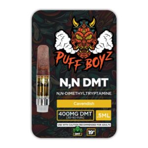 Puff Boyz -NN DMT .5ML(400MG)