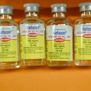 Ketaset Ketamine 100 mg/10 ml