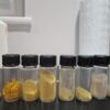4-ACO-DMT (4-Acetoxy-DMT, Psilacetin) - Image 2