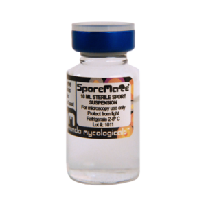 B+ cubensis spores