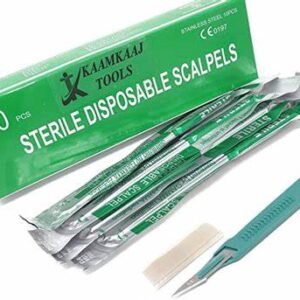 Disposable scalpels in box of 10
