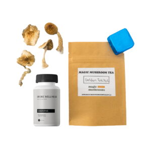 First Timer Magic Mushroom Kit: Psych 101 – An Introduction to Psychedelics