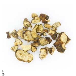 Hollandia truffles