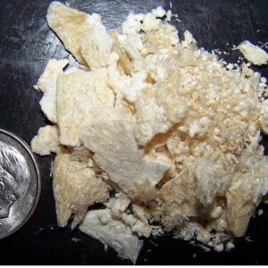 Buy Mescaline Cacti Online UK